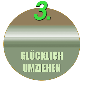 Günstige Möbelpacker Anfrage für Kostenvoranschlag umzugsanfrage-3